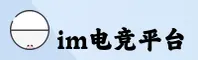 【官方】IM电竞中国官方网站